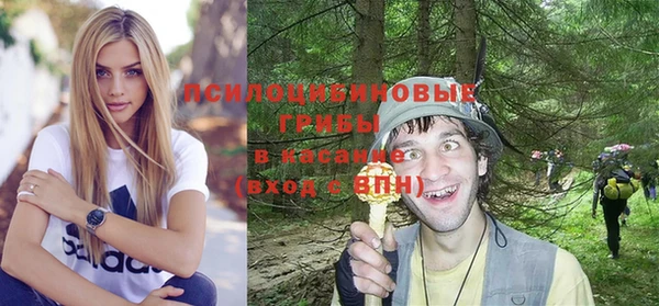 стаф Алексеевка