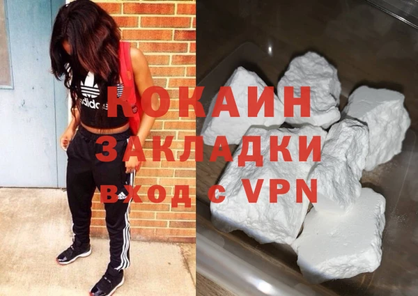 крисы Алзамай