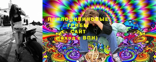 стаф Алексеевка